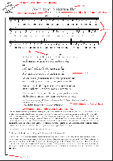 Codex Patomomomensis