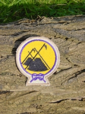 Bundesabzeichen DPB-Mosaik